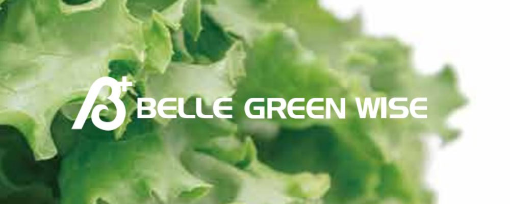 ベルグリーンワイズのwebカタログ | 野菜・フルーツパッケージとシール