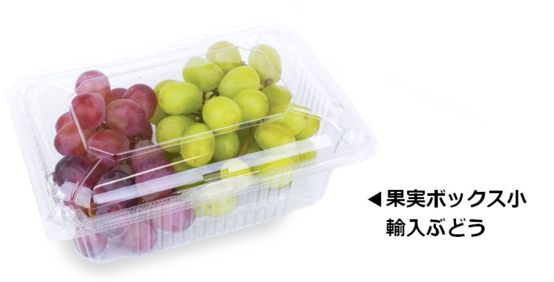 エフピコチューパ 果実ボックス 中 (83) 180×131×83 フードパック その他