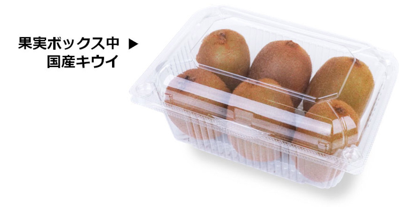 エフピコチューパ 果実ボックス 小 (67) 180×131×67 フードパック その他