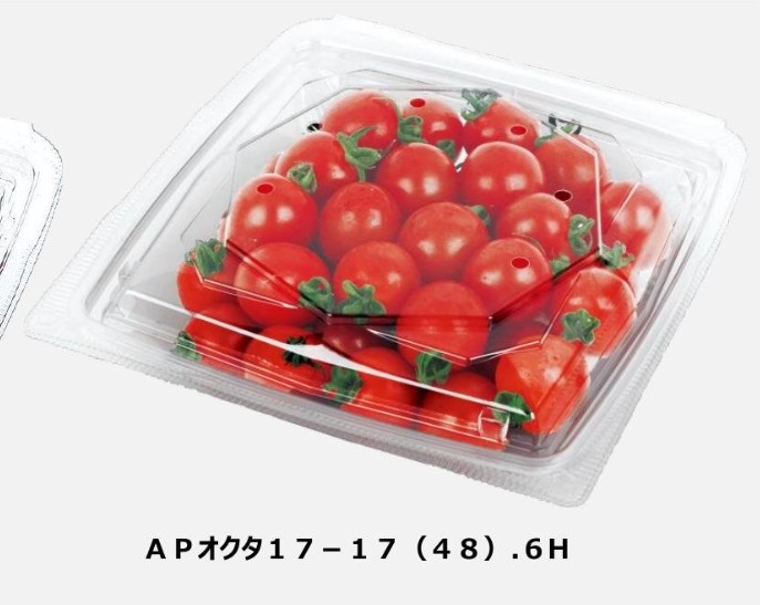エフピコチューパ APオクタ17-17(48).6H 174×169×48 フードパック その他