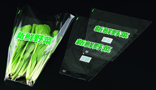 エフピコチューパ サンボードン SB 新鮮野菜(中) T-21 280×300 袋 青果物 印刷 三角袋