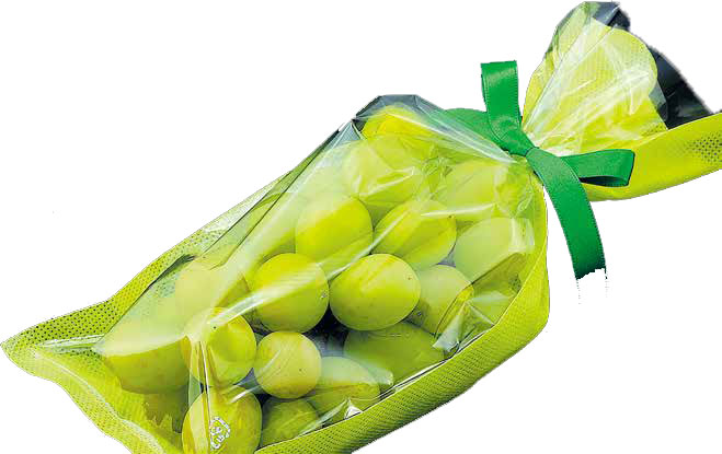 エフピコチューパ ぶどう 不織布 【グリーン】 特大 プラ 280/120×340 袋 青果物 無地 三角袋