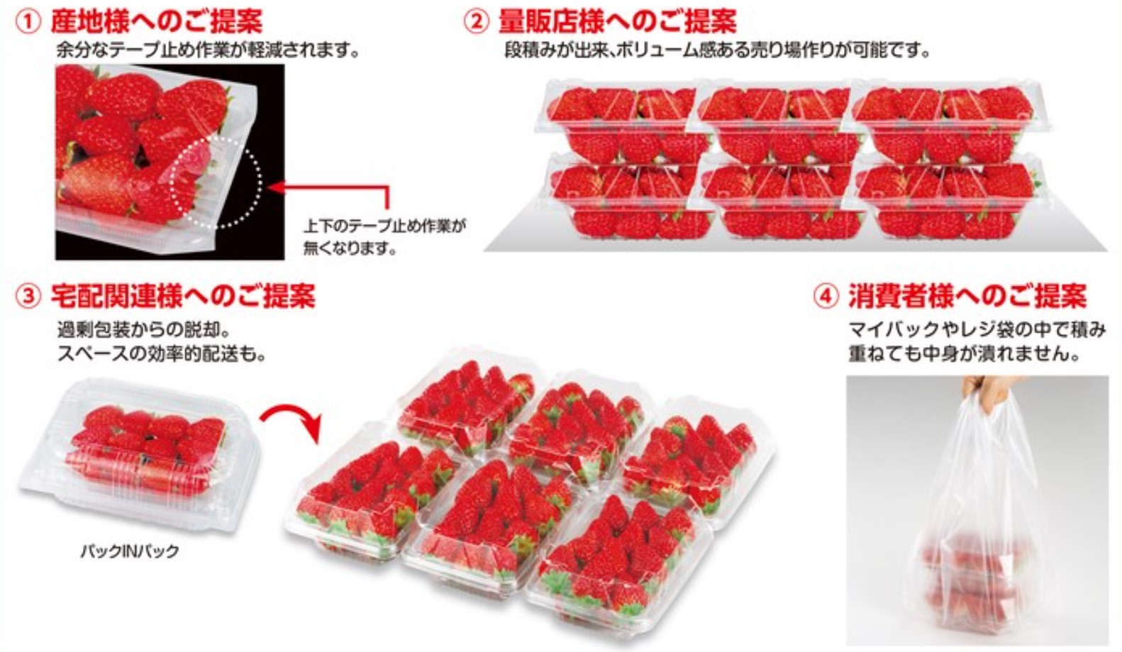 エフピコチューパ STR200-1 A-PET 本体 トレー いちご | 野菜 