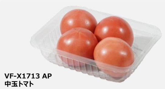 エフピコチューパ VF-X1713 AP 171×133×38 トレー その他