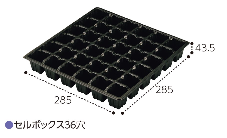 エフピコチューパ セルボックス 36穴 6×6列 285×285×43.5 農業資材 育苗用品