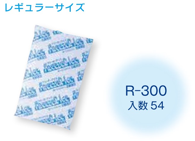 アイスジャパン フリーザーアイス 保冷剤 R-300 115×190 レギュラーサイズ 鮮度保持 保冷剤