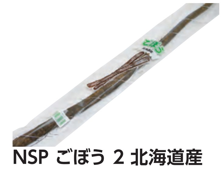 精工 NSP ごぼう 2 北海道産 90×880 2H 袋 青果物 印刷 平袋