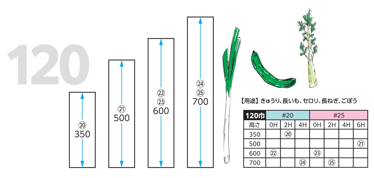 精工 P-OPP防曇準規格袋 #20 120×600 0H 袋 青果物 無地 その他