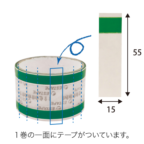 精工 エステープ 緑 15×55 結束資材 OPPテープ
