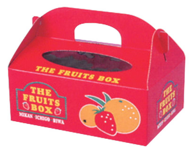 信和 専用BOXミニフルーツアソート アグリBOX 250×175×190(95)mm 苺2P 箱 フルーツ
