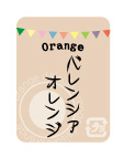 みかんシール　バレンシアオレンジ　40×30 ガーランドシリーズ　シール・ラベル 食品 フルーツ みかん・オレンジ