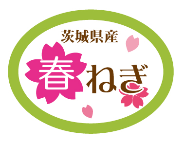 茨城県産　春ねぎシール　40×30　シール・ラベル 食品 野菜 ねぎ
