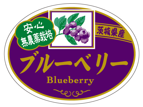 茨城県産　ブルーベリー　シール・ラベル 食品 フルーツ ブルーベリー