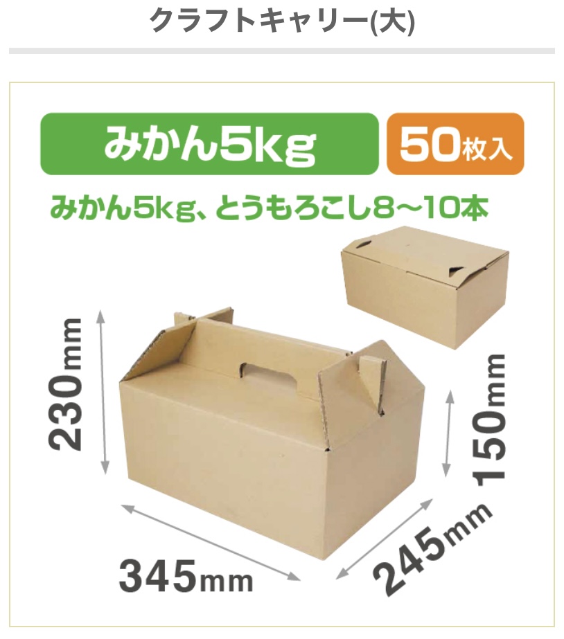 ヤマニパッケージ　L-8005  クラフトキャリー（大）　箱 ダンボール