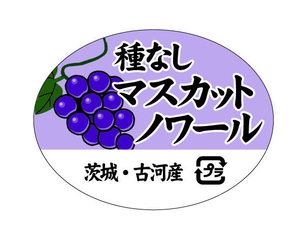 初見園芸 種なしマスカットノワール ラベル シール 果実 ぶどう