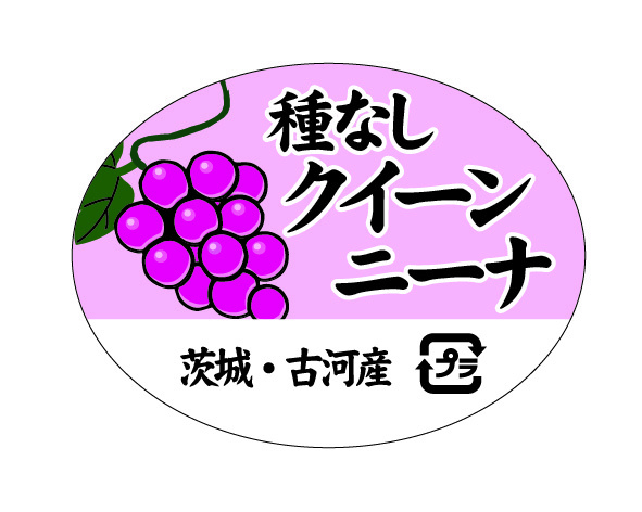 初見園芸 種なしクイーンニーナ ラベル シール 果実 ぶどう
