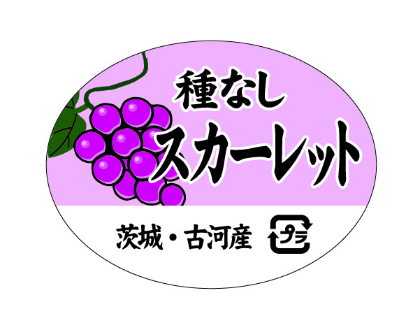初見園芸 種なしスカーレット ラベル シール 果実 ぶどう