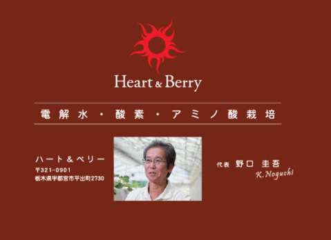 ハート&ベリー Heart&berry 化粧箱 本体 箱