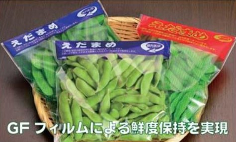 石本マオラン GFえだまめ袋 ネットグリーン 【赤黄緑】 #30 170×220+40 テープ付 袋 青果物 印刷 その他