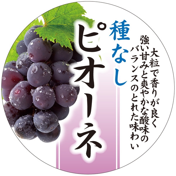 種なしピオーネシール H-0211  40×40 300枚入り シール・ラベル 食品 フルーツ ぶどう