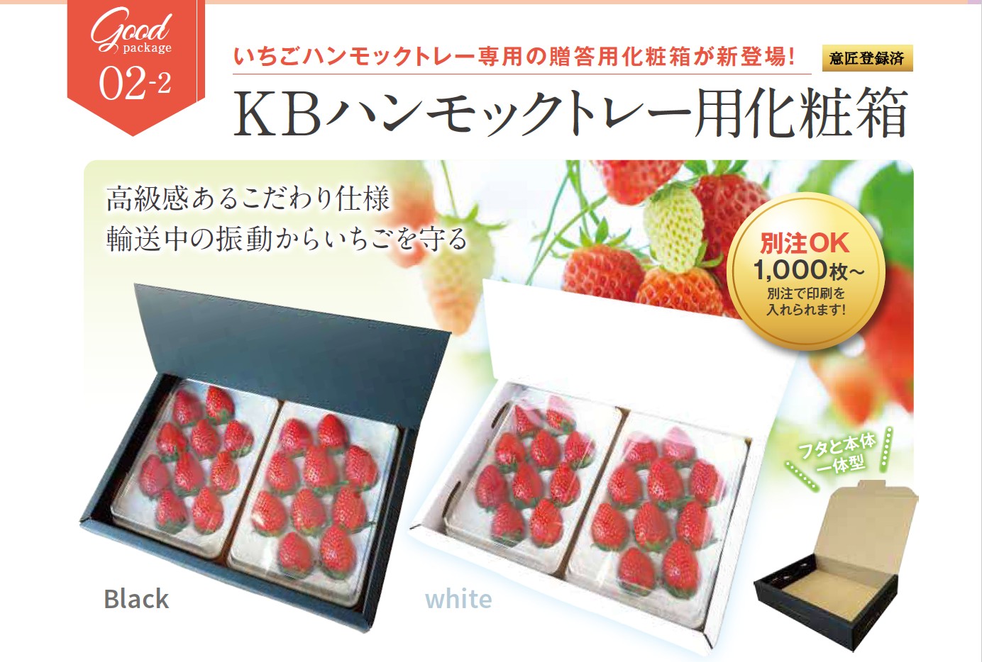 コバヤシ　KBハンモックトレー用化粧箱　【白】　668×556  箱　フルーツ