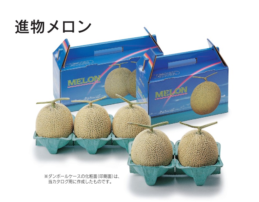 日本モウルド工業 パルプモウルドトレイ 進物メロン2ケ入(緑) 320(160)×174 緩衝材 その他