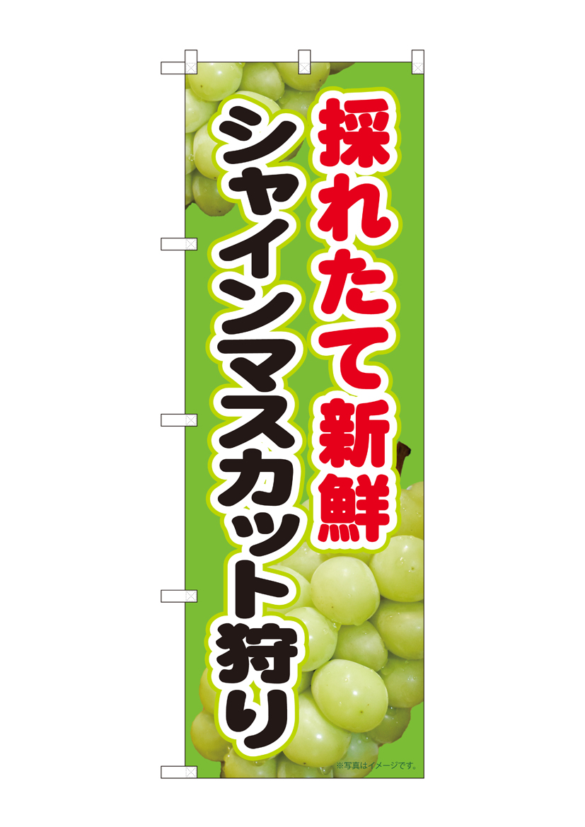 N_のぼり 81281 シャインマスカット 採れたて MTM 店舗用品 のぼり 青果物 フルーツ