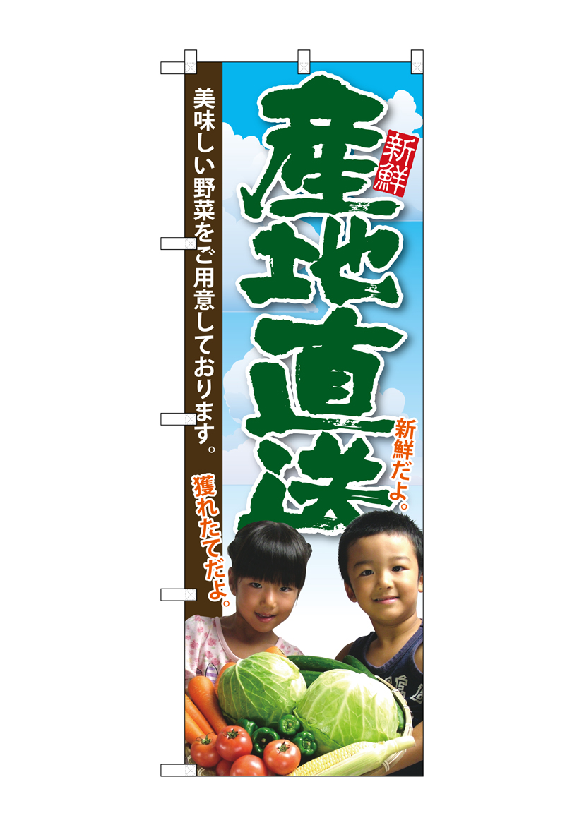 G_のぼり SNB-2205 産地直送 子供写真 店舗用品 のぼり 青果物 野菜