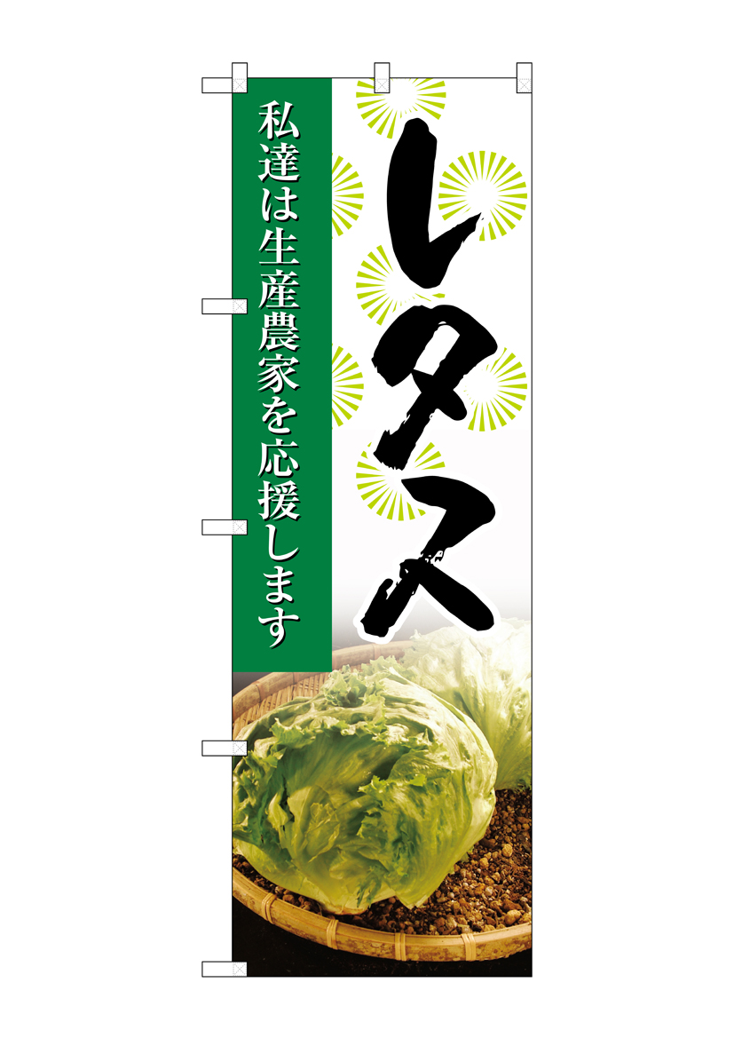 G_のぼり SNB-2269 レタス 写真 店舗用品 のぼり 青果物 野菜