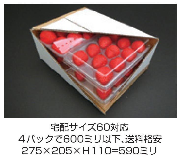 大石産業 ゆりかーご Cタイプ 2×2段 4パック用 宅配サイズ60対応 275×205×110h 箱 フルーツ