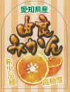 愛知県産 由良みかん　シール・ラベル 食品 フルーツ みかん・オレンジ