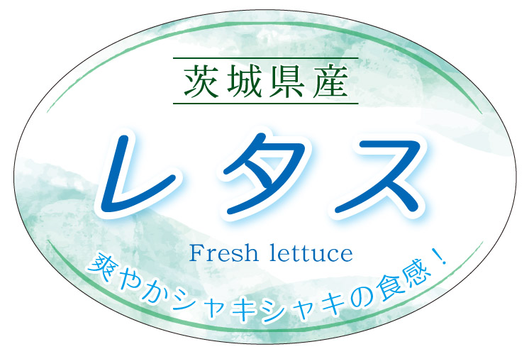 茨城県産　レタス　シール・ラベル 食品 野菜 レタス