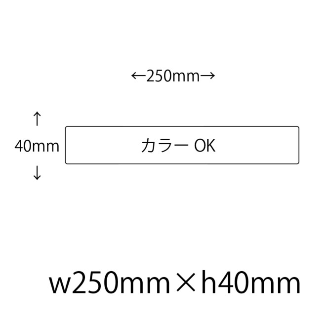 【仮発注用】オリジナルシール 印刷 【カラー】 250mm×40mm シール・ラベル その他