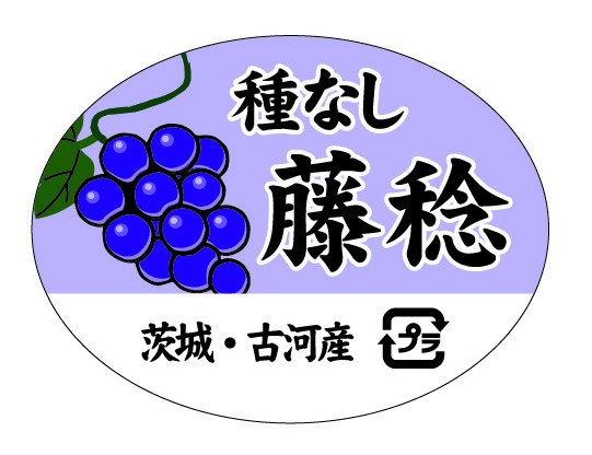 初見園芸 種なし藤稔 ラベル シール 果実 ぶどう