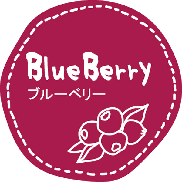 テイスティシール　Blueberry ブルーベリー　28φ 紫白 シール・ラベル 食品 加工食品 その他