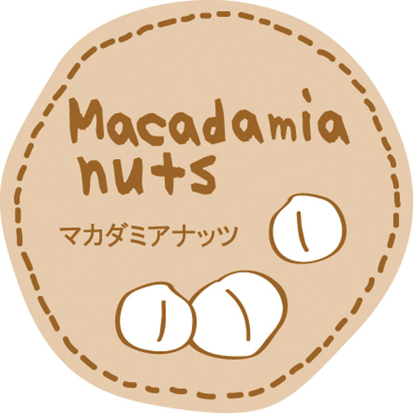 テイスティシール　Macadamia nuts マカダミアナッツ　28φ 茶白 シール・ラベル 食品 加工食品 その他