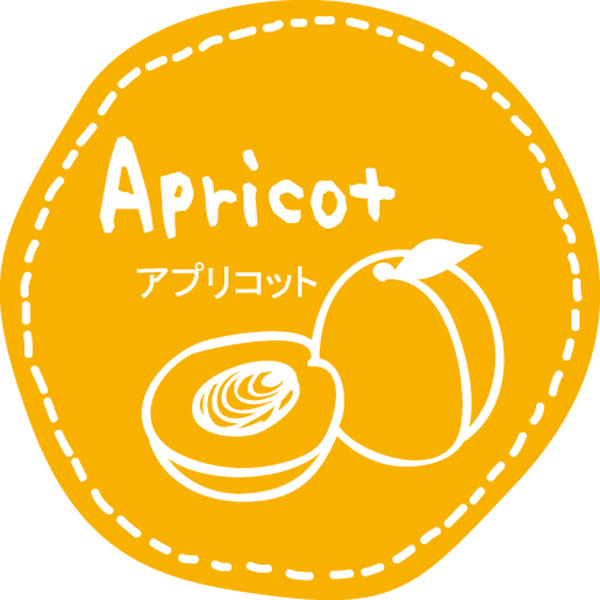 テイスティシール　Apricot アプリコット　28φ 橙白 シール・ラベル 食品 加工食品 その他