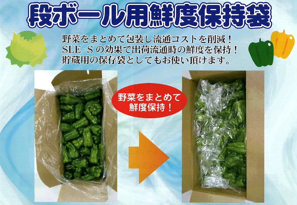 きゅうり用パッケージ特集 | 野菜・フルーツパッケージとシール印刷の