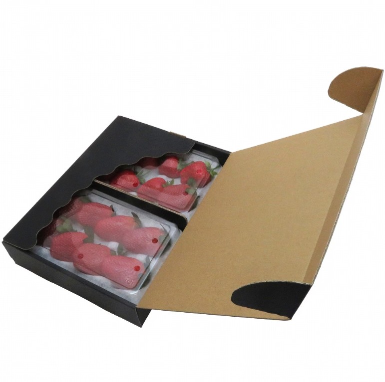 ツミヤマ ハンモックトレー（ゆりかーごCタイプ）専用　黒化粧箱箱　（2トレー用）　ICY001-02 210×287×65mm 箱 フルーツ