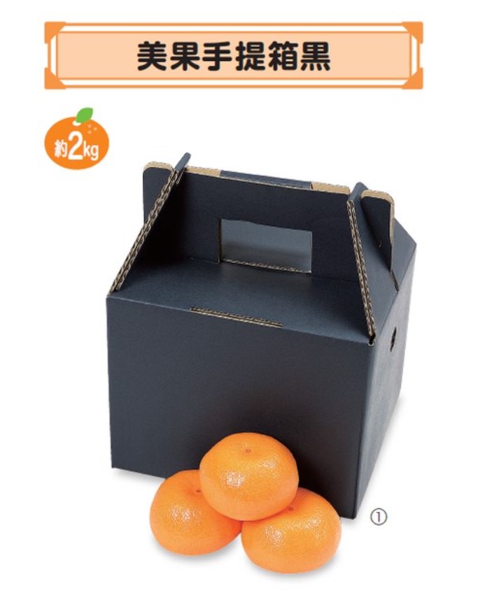 ヤマニパッケージ みかん 手提げ箱 美果手提箱黒 2kg用 60サイズ L-2061 200×160×160(230) 箱 フルーツ
