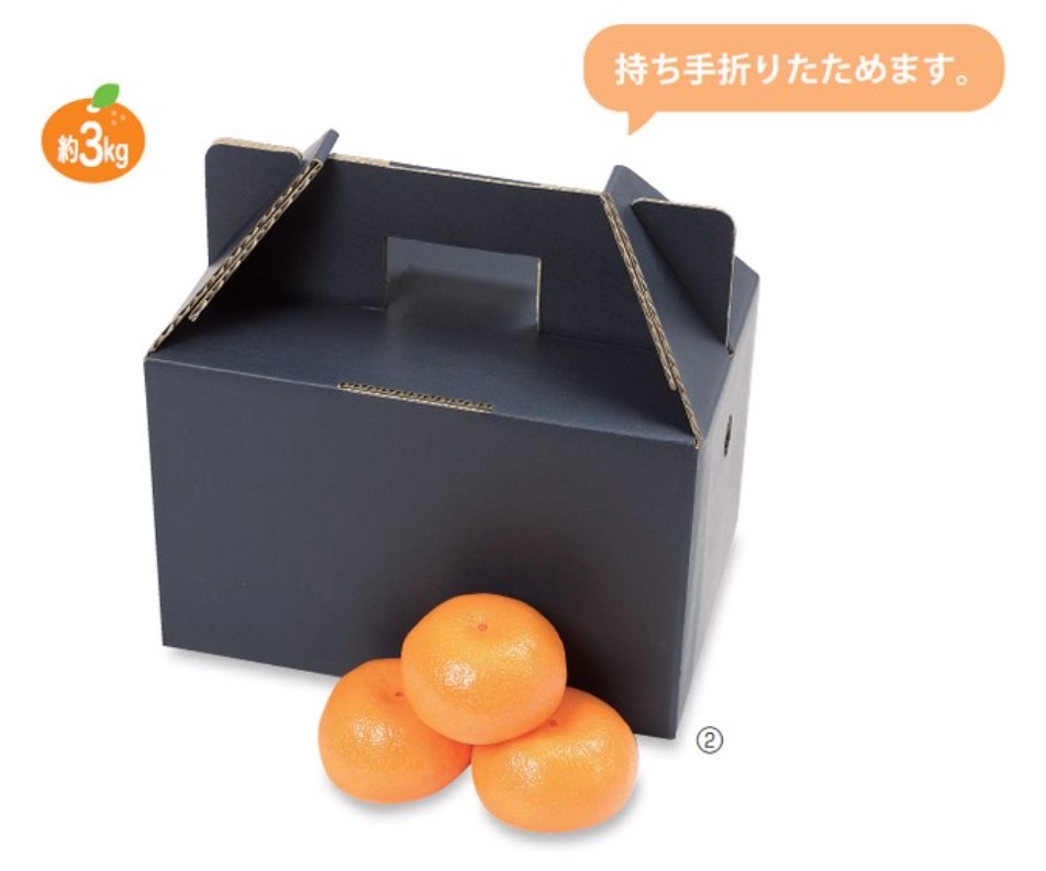 ヤマニパッケージ みかん 手提げ箱 美果手提箱黒 3kg用 60サイズ L-2062 250×160×160(230) 箱 フルーツ