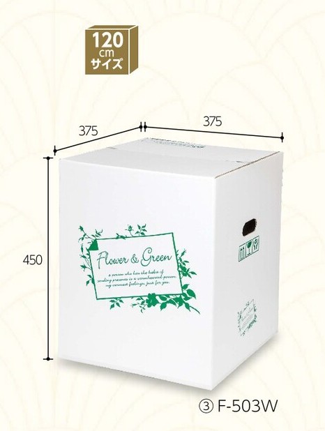 ヤマニパッケージ　花用 宅配箱 FGホワイト 120（L） F-503W 台座付き 375×375×450  箱 ダンボール