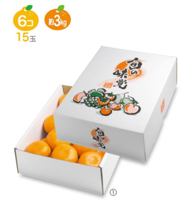 ヤマニパッケージ 四季の果実 小 旬の味覚 ギフト箱 L-2267 230×300×110 箱 フルーツ