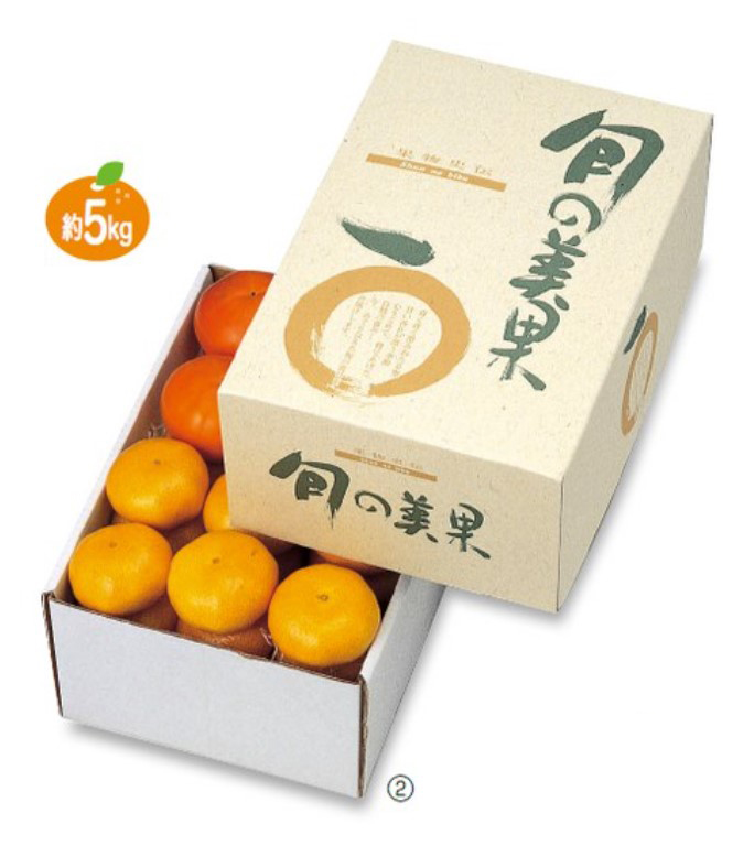 ヤマニパッケージ 旬の美果 5kg みかんギフト箱 L-341 220×330×140 箱 フルーツ