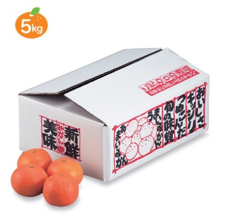 ヤマニパッケージ L-426 新鮮みかん 5kg 360×265×135 箱 フルーツ