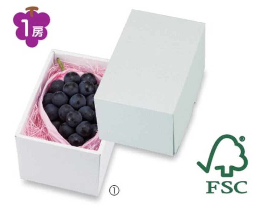 ヤマニパッケージ  白の箱 パール  LTO-16FS 130×200×120 箱 フルーツ