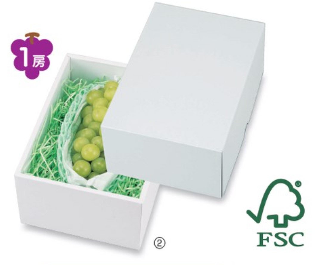 ヤマニパッケージ  白の箱 パール  LTO-18FS 170×240×110 箱 フルーツ