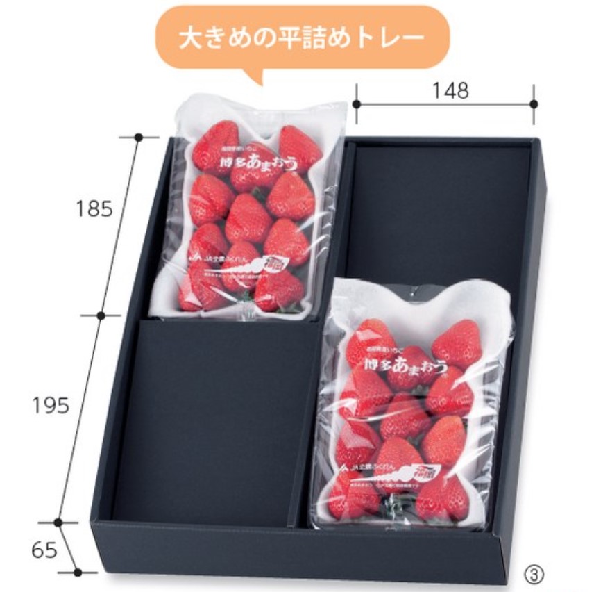 ヤマニパッケージ  ディスプレイボックス 平詰めパック用 黒 浅型用 2段 L-2153 箱 フルーツ